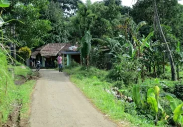 Kebun di Cijeruk Bogor