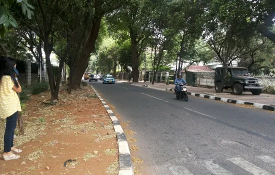 TUA MENTENG LANGKA !! TEUKU CIK DITIRO UK 1100m2 by HARRY
