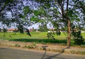 Teluk Naga