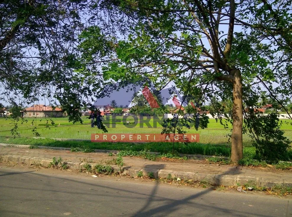 Teluk Naga