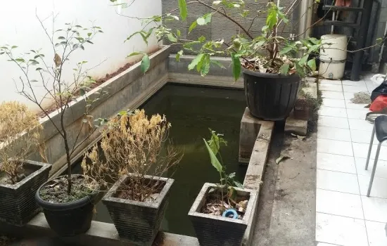 SUNRISE UK 7X20 , BEBAS BANJIR 100% BY HARRY