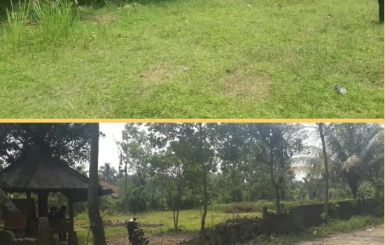 Kav MURAH dekat babakan medang SENTUL