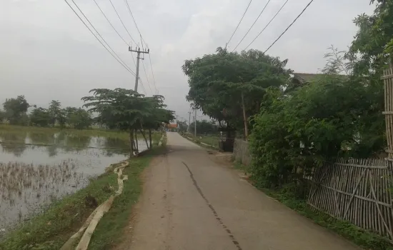 Kavling Desa Sukamakmur, Telukjambe Timur, uk 4800m2 @ 750rb