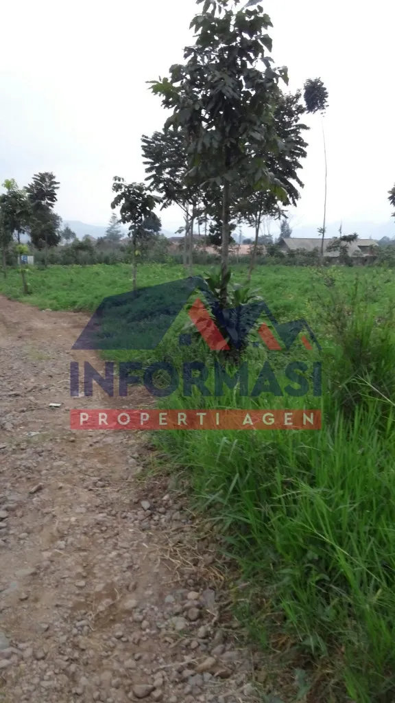 depan HTL SANGGABUANA LOKAAI bagus
