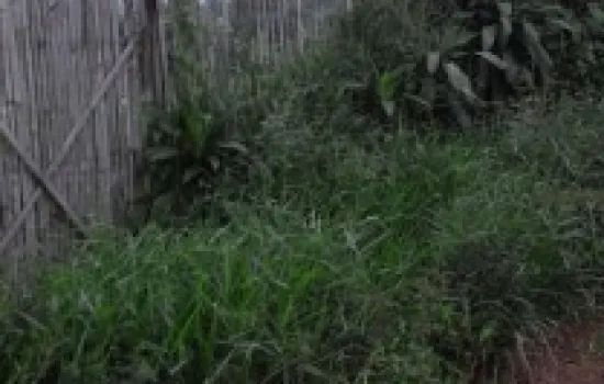 Tanah lokasi bagus cocok untuk Komersil di Karawang Barat
