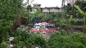 Tampak Belakang