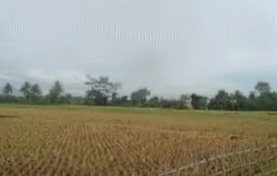 TANAH 430 ha Berdampingan dengan Deltamas
