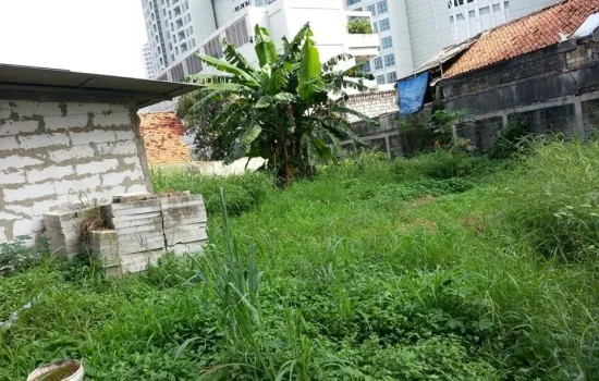 BELAKANG CP DAN TA , KAV PONDOK ANGGREK LT 594 m2 NGANTONG