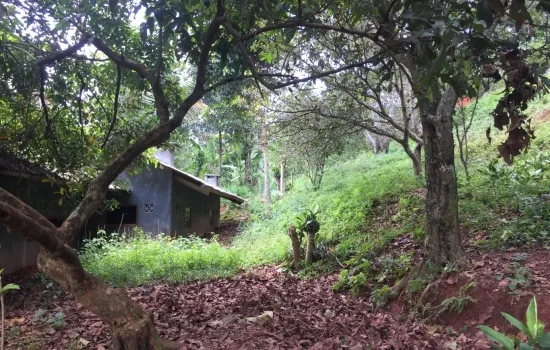 Dijual tanah 28 HA, cikalong, cianjur