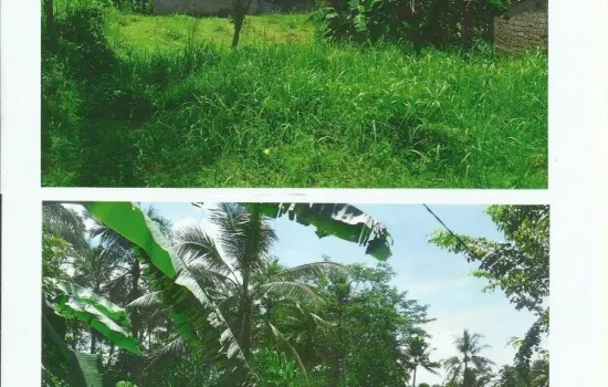 Tanah lokasi strategis untuk cluster residencedi Parung