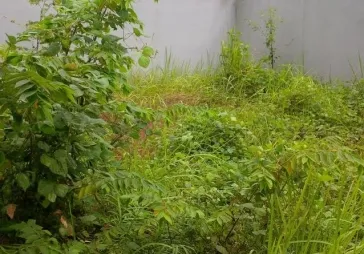 3Multiguna, Kawasan Industri Manis TANGGERANG  , BITUNG