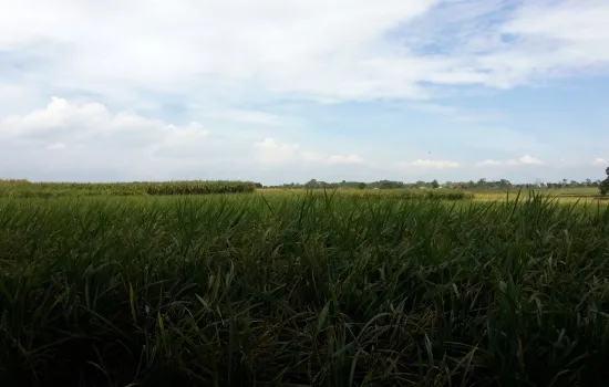 Tanah Strategis ls 9.028m