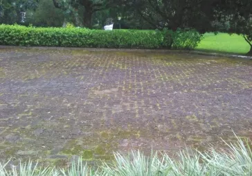 Villa berikut tanah lokasi daerah cipanas,puncak.Sangat bagu