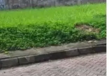 Taman Permata Buana