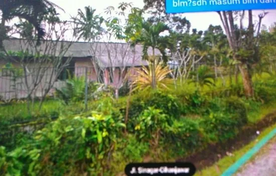 kampung wangun desa nagrak utara cibadak luas 1.1ha