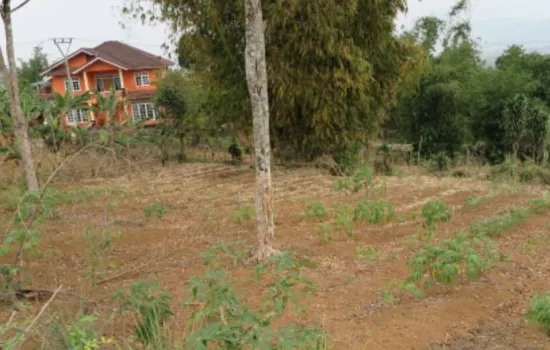 Tanah Puncak Cipanas