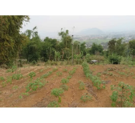 Tanah Puncak Cipanas