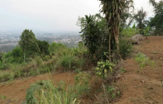 Tanah Puncak Cipanas