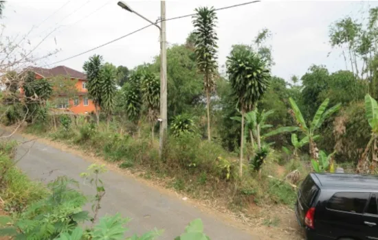 Tanah Puncak Cipanas