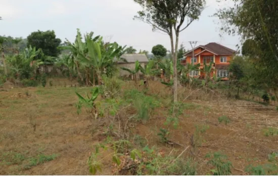 Tanah Puncak Cipanas