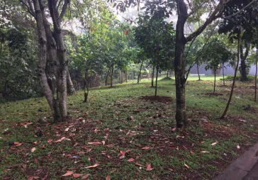 The Green BSD
