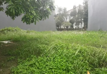 Cluster Lotus PIk (badan)