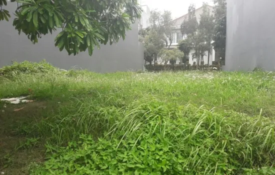 Cluster Lotus PIk (badan)