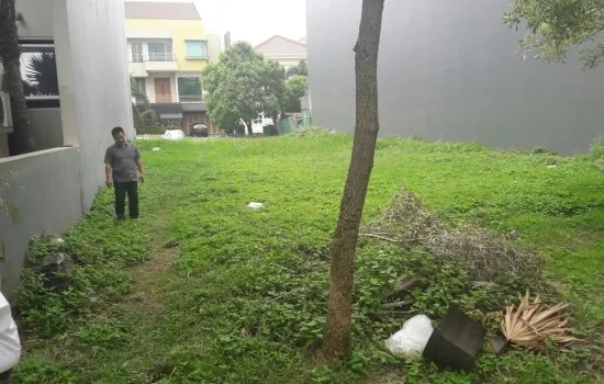 Cluster Lotus PIk (badan)