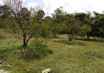 Tanah lokasi Cariu Bogor 3Ha