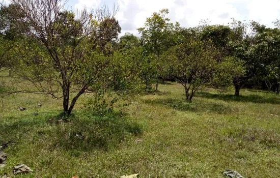 Tanah lokasi Cariu Bogor 3Ha