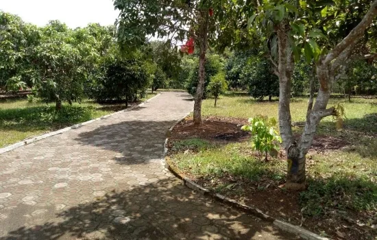 Tanah lokasi Cariu Bogor 3Ha
