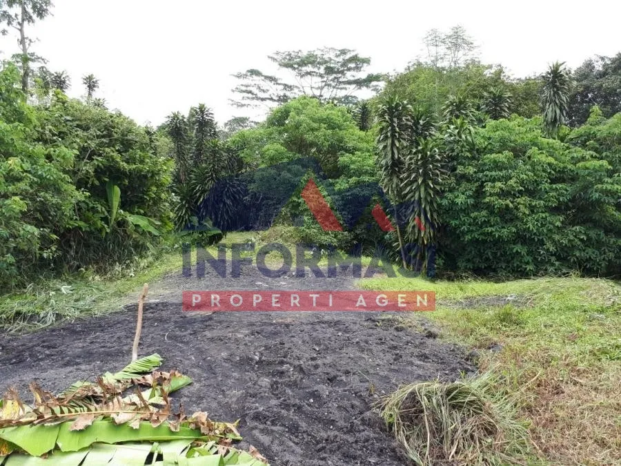 lokasi bagus