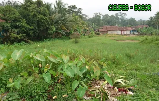 kavling pinggir jalan raya (2arah)