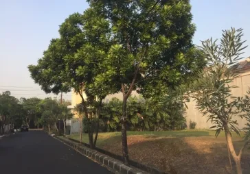 Mega Kebon Jeruk