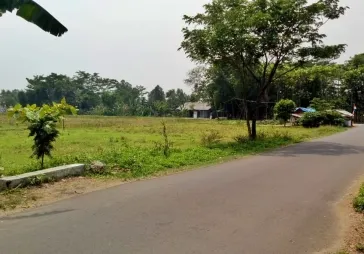 Tanah cileungsi