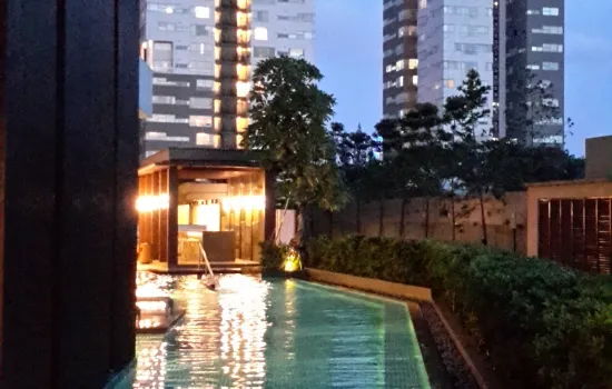 Apartment 1park avenue msh baru lt 11 view city