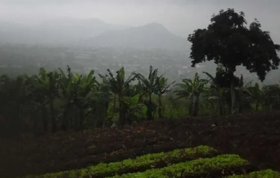 Dengan pemandangan indah puncak