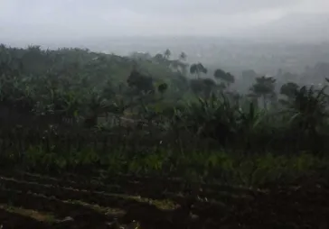 Produktif utk perkebunan dan peternakan