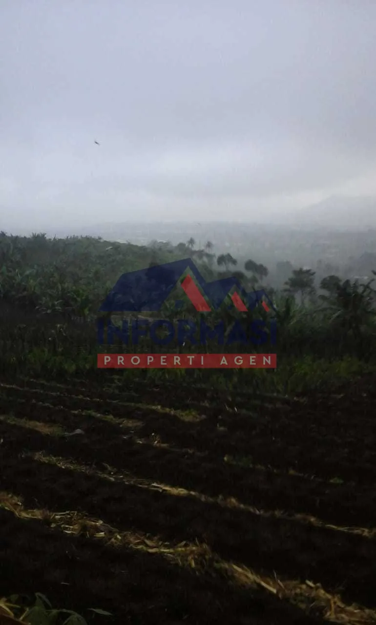 Produktif utk perkebunan dan peternakan