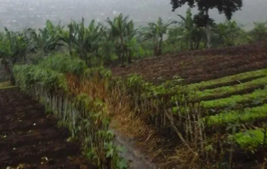 Dengan pemandangan indah puncak