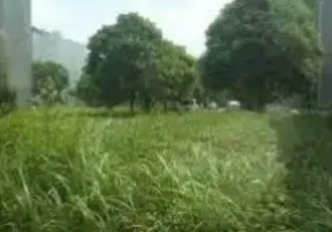 Lokasi bagus,hadap taman