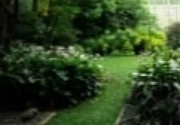 Eksklusif Pondok Indah