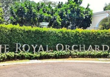 Tanah royal orchard luas 685