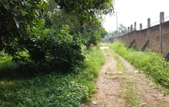 Komersil samping tol