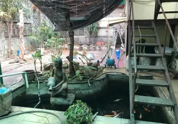 tua hitung tanah jl PROKLAMASI menteng lt 646m2