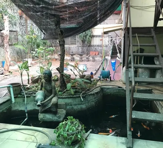 tua hitung tanah jl PROKLAMASI menteng lt 646m2