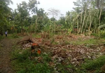 lokasi bagus