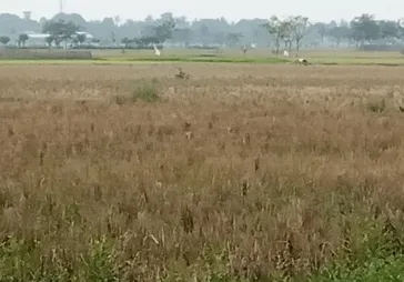 Tanah di tangerang, murah dan strategis