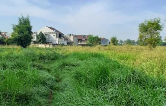 Tanah Komersil jl raya puspitek 6Ha.
