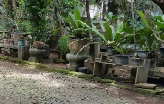 Rumah Jl. kramat raya. jakarta pusat